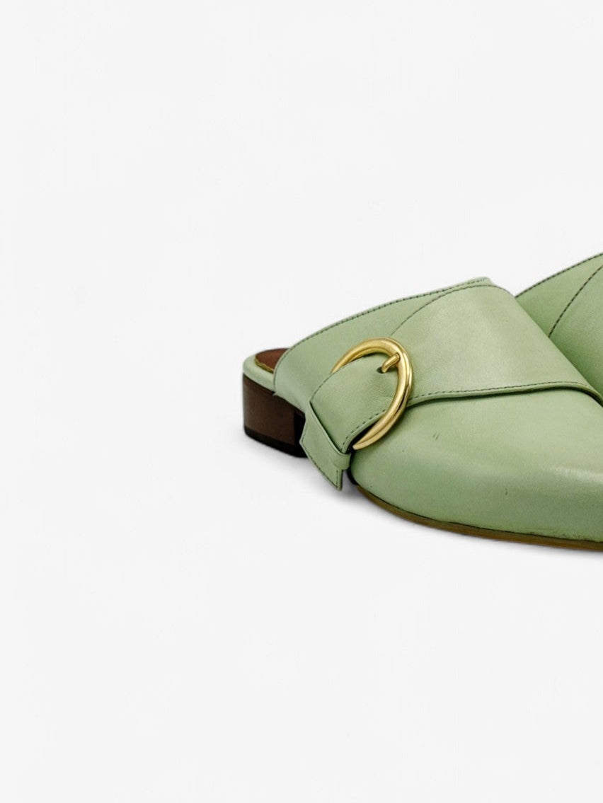 Sueco Greco Verde Menta