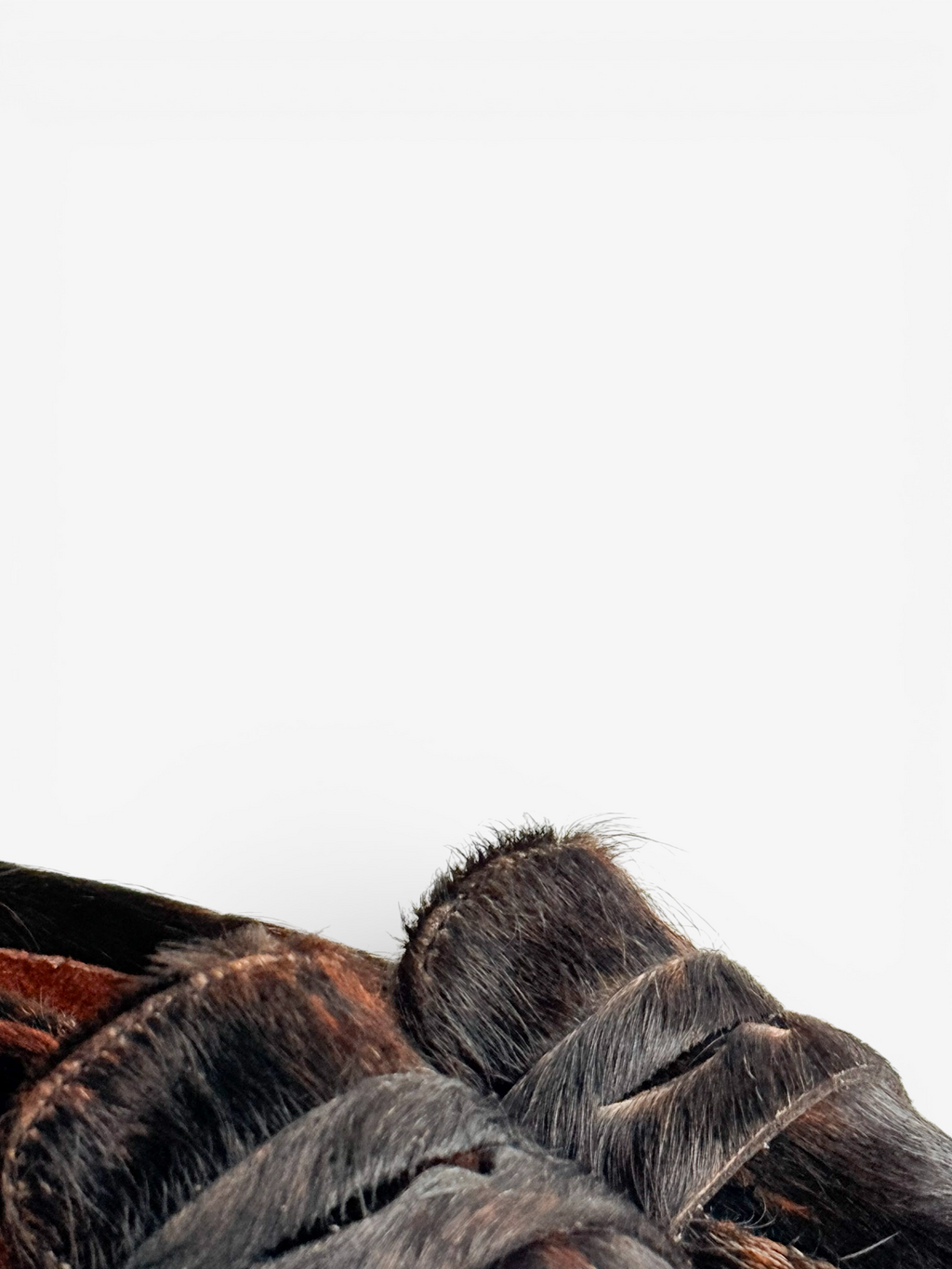 Penny Loafer Chunky - Pelo Vaca Café